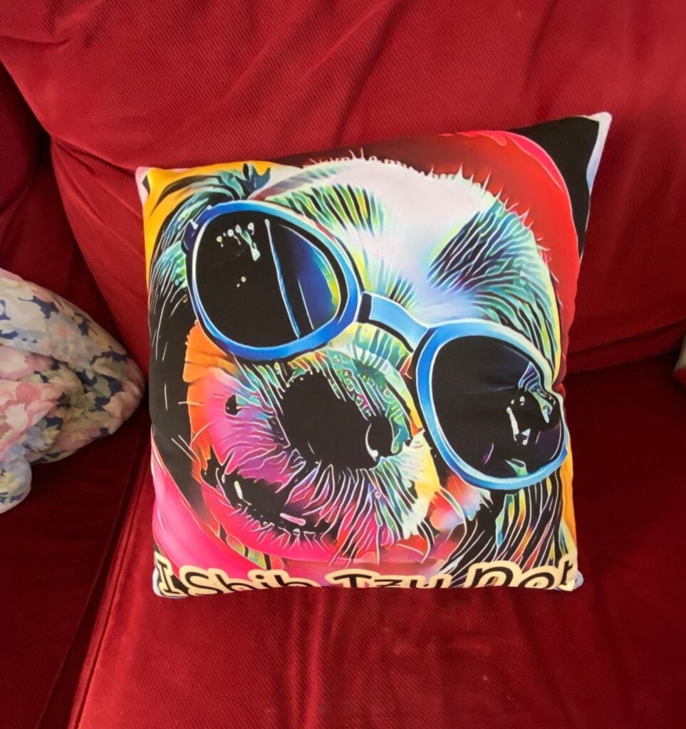 Slotherin Throw Pillow Image #1 from leslie thompson